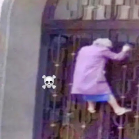 Meet your Posher, Duck - Picture 1 of 1